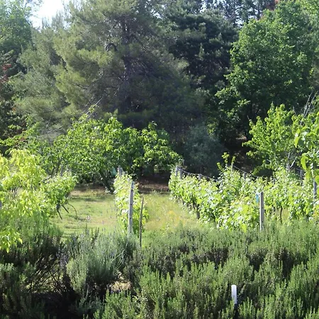 Bed and Breakfast Alla Palombara Di