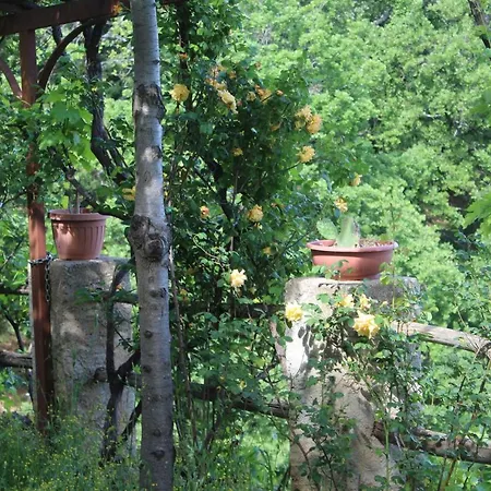 Alla Palombara Di * Rossano