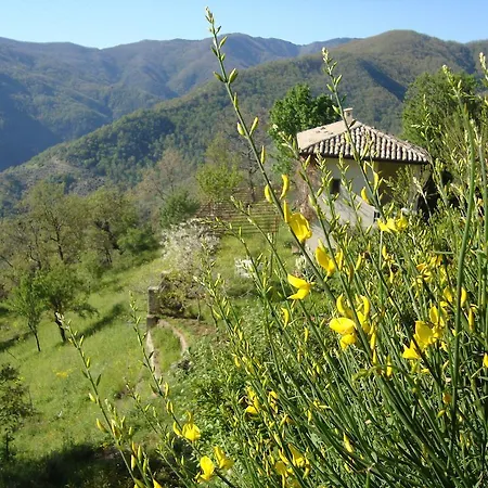 Bed and Breakfast Alla Palombara Di *
