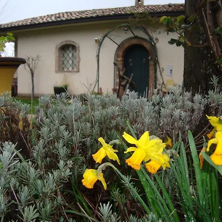 Alla Palombara Di
