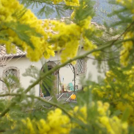 Bed and Breakfast Alla Palombara Di Rossano