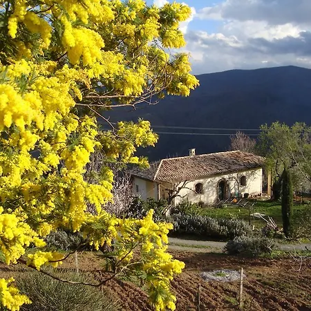 Bed and Breakfast Alla Palombara Di