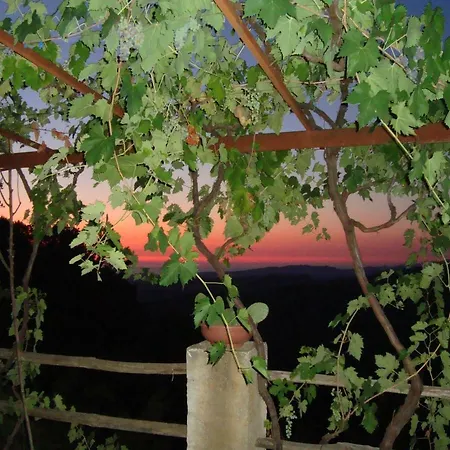 Bed and Breakfast Alla Palombara Di