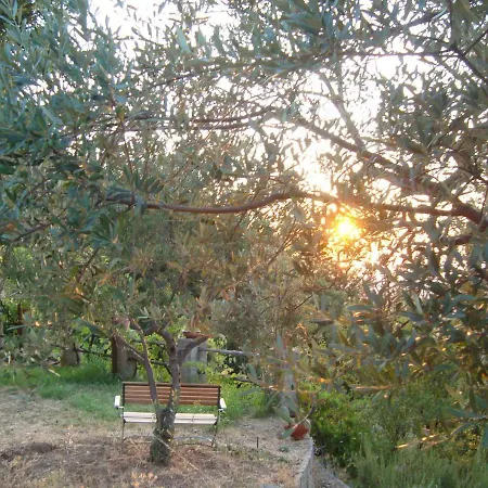 Alla Palombara Di Bed and Breakfast
