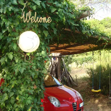 Bed & Breakfast Palombara Di *